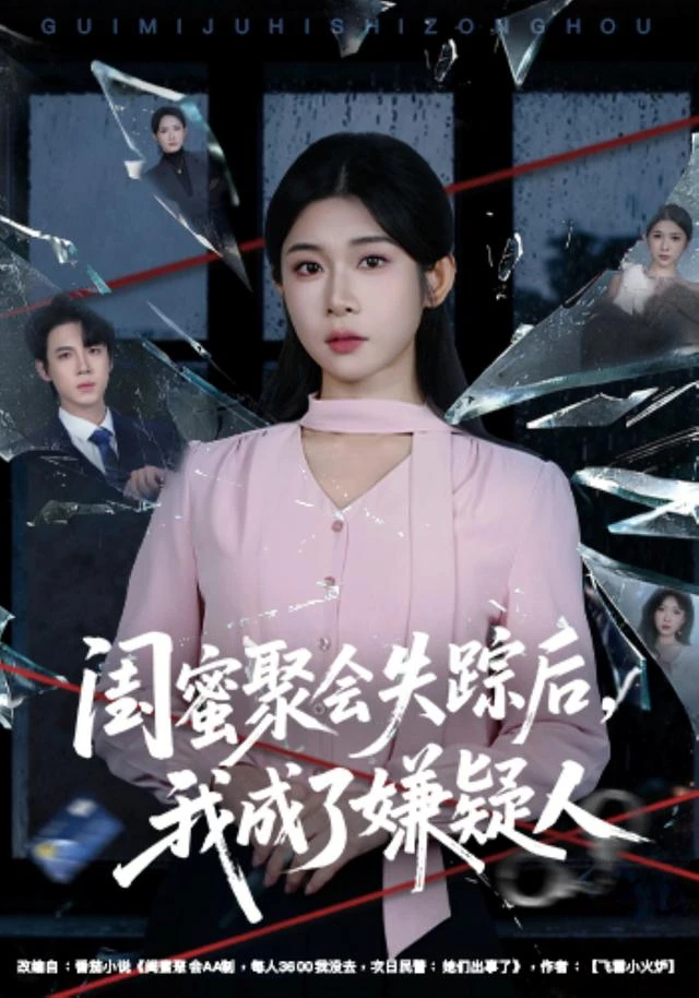 闺蜜聚会失踪后，我成了嫌疑人作品封面