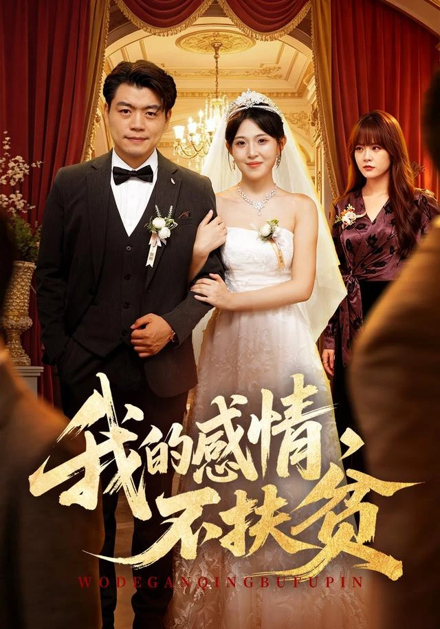 我的感情，不扶贫作品封面